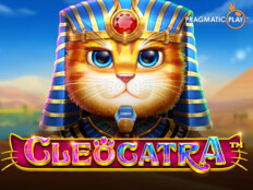 Casino slot oyunları43